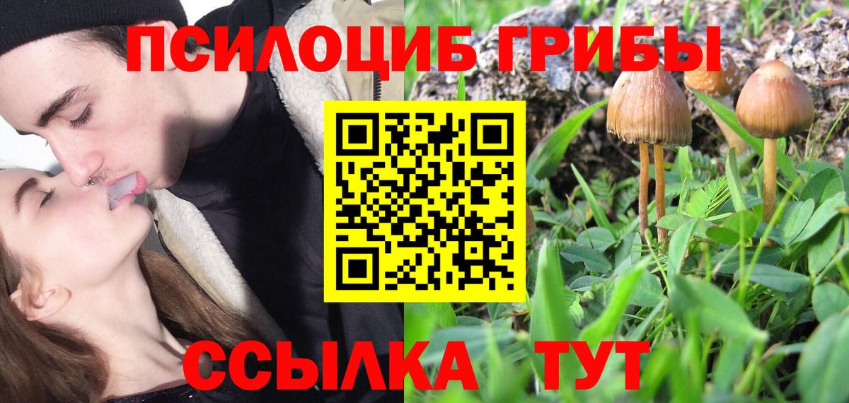 Галлюциногенные грибы мухоморы  Вход с VPN  Ессентуки 
