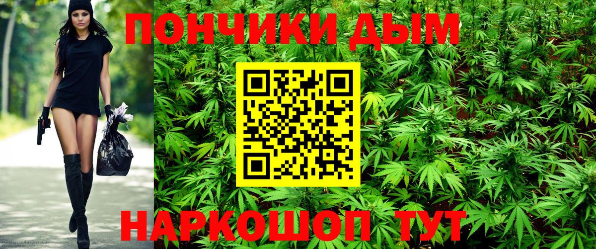 Шишки марихуана Bruce Banner Ессентуки